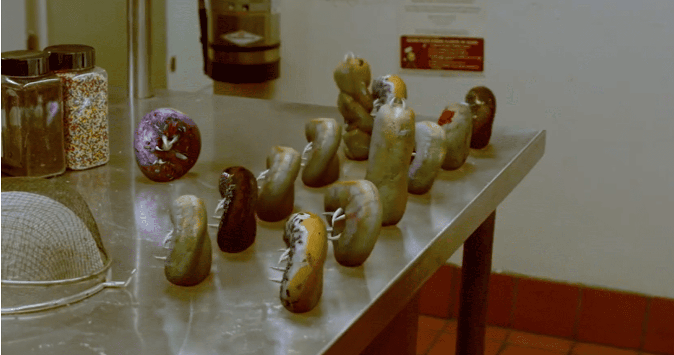Portada El Ataque de los Donuts Asesinos (Attack of the Killer Donuts)